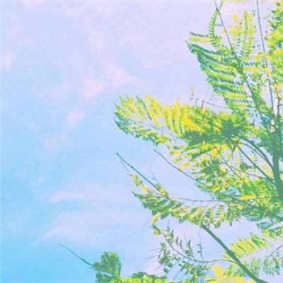 万博manbetx官方网站登录